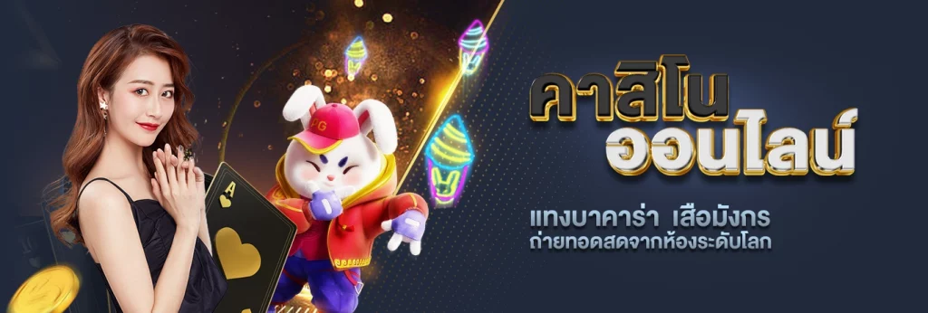 เว็บ BokBokzz